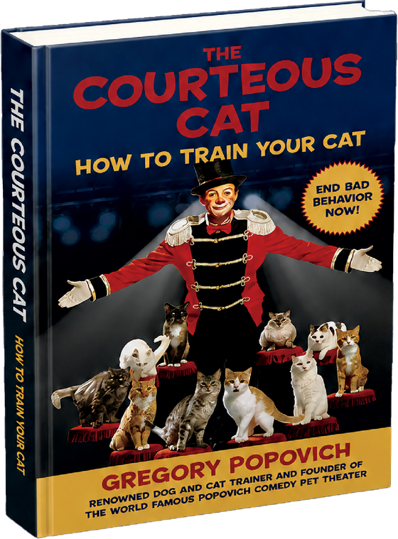 You Can Train Your Cat — book cover