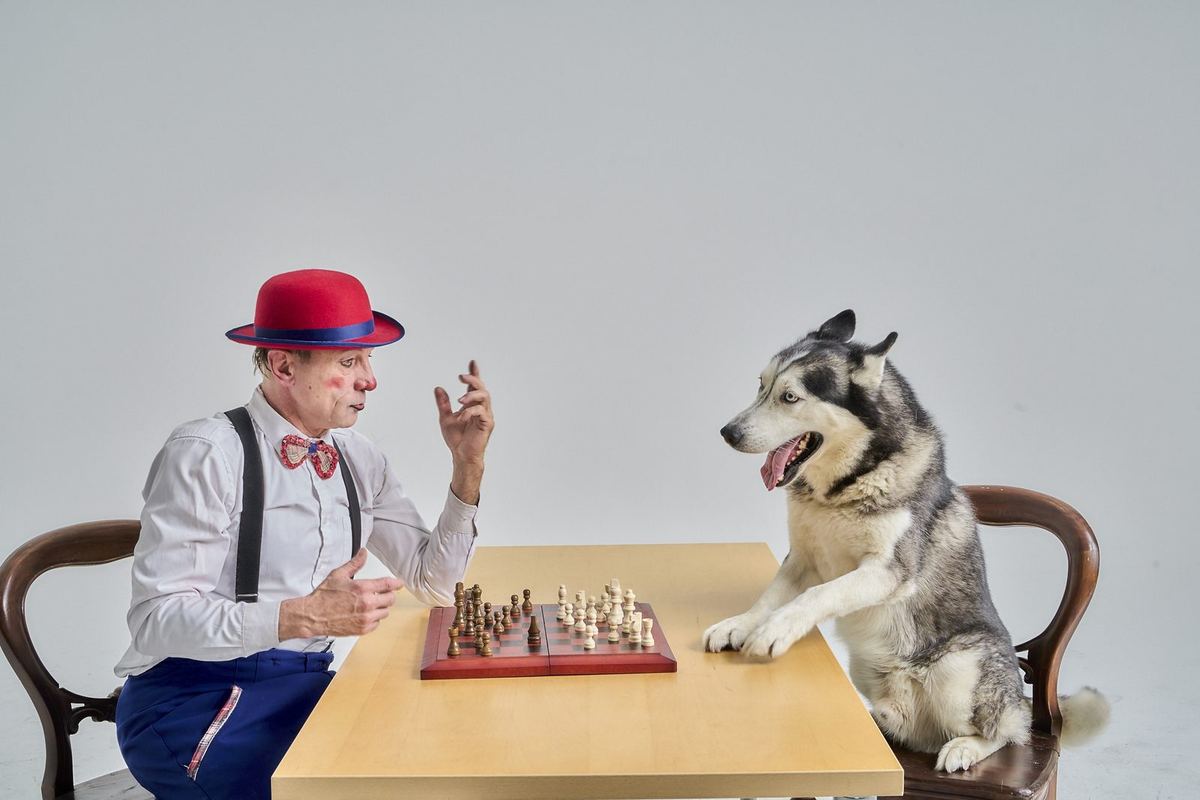Chess with a husky