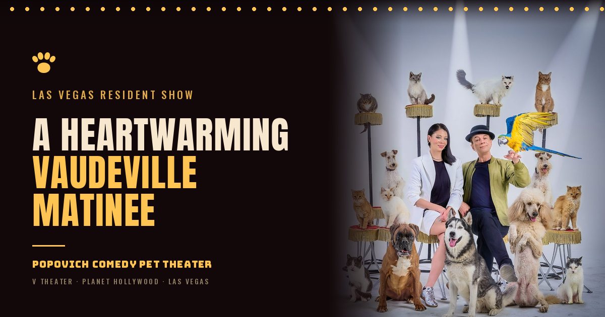 Photo: comedypet.com Las vegas show