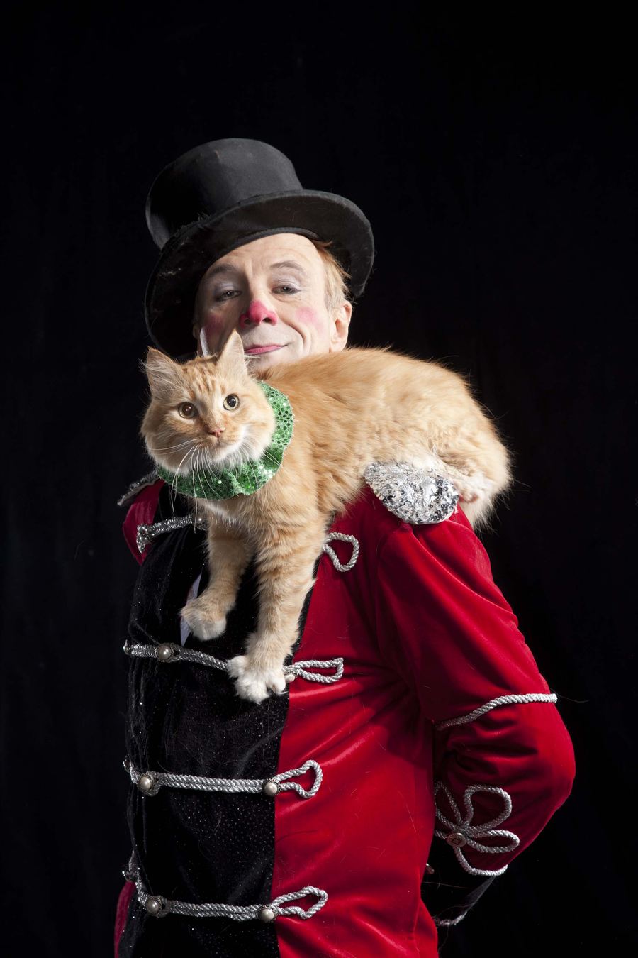 Yes, Your Cat CAN Learn: The Psychology of Positive Reinforcement