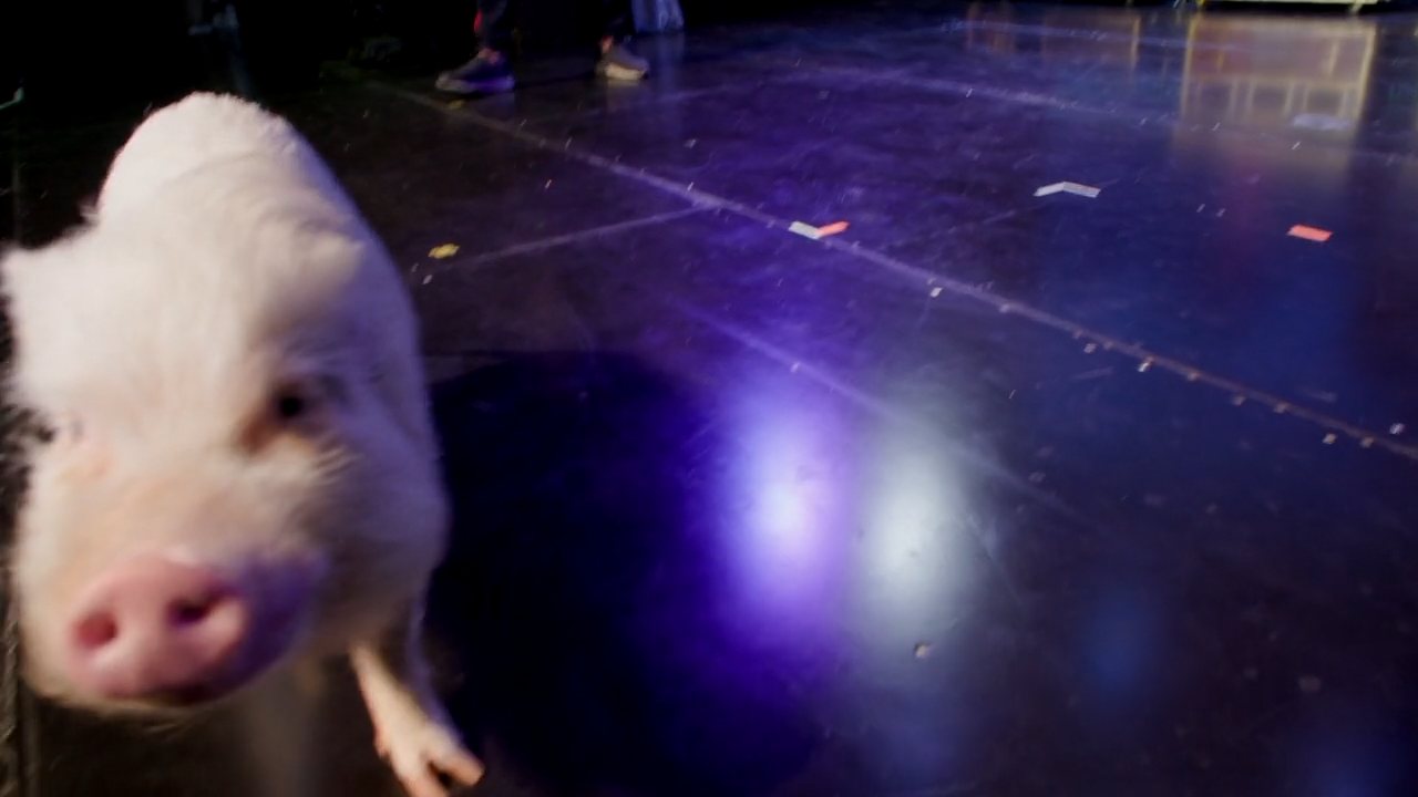 On stage